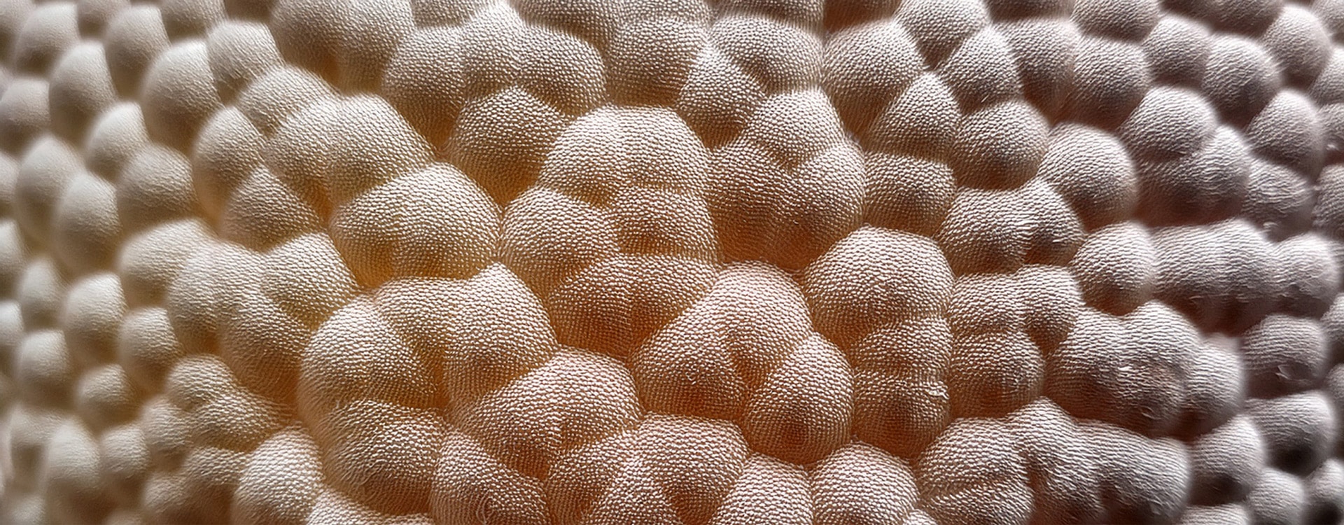 01 Poliuretani POL FLEX